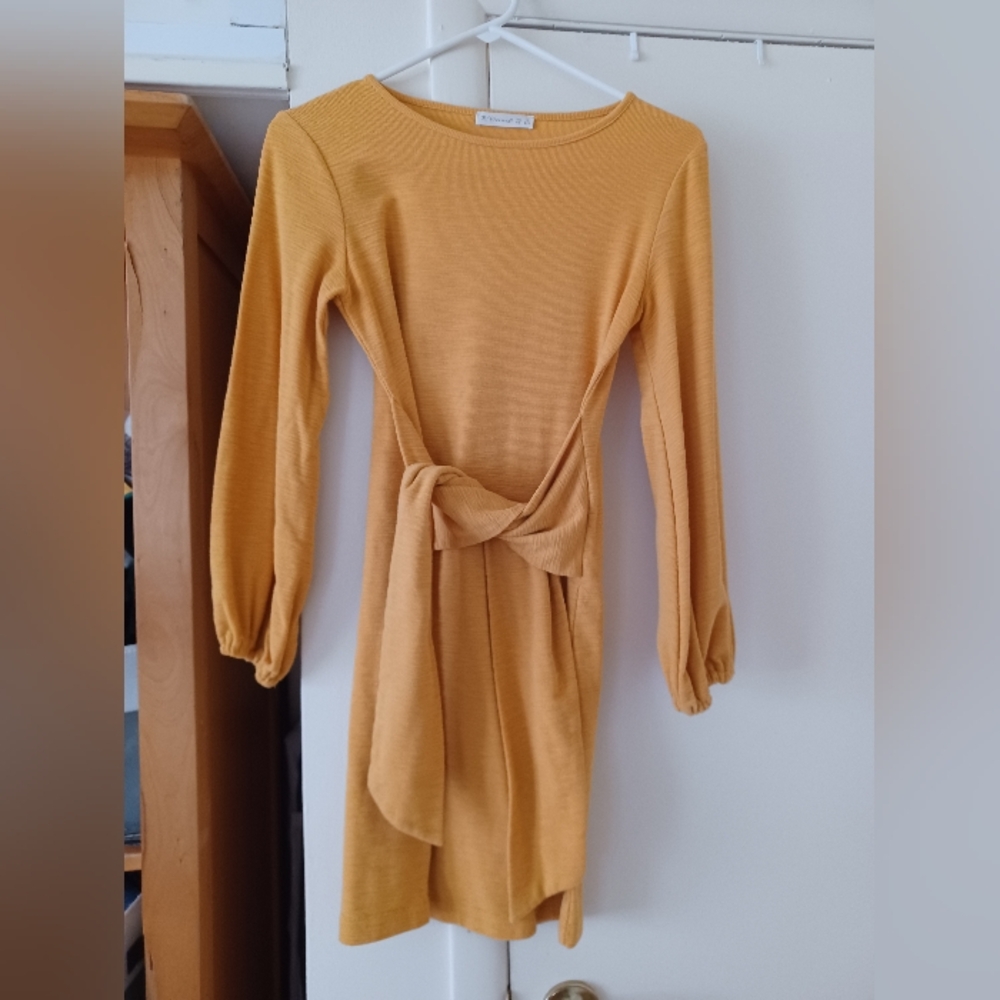 Sweater Waist Tie Dress